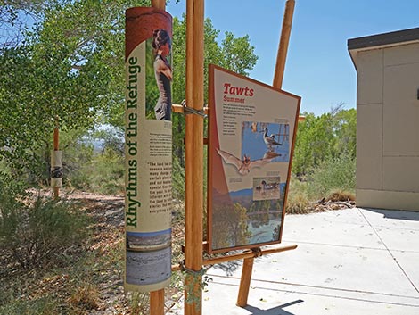 Pahranagat NWR