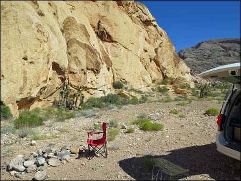 Whitney Pocket Campsite