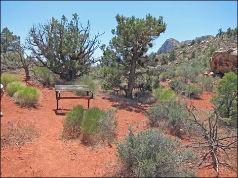 Dales Trail
