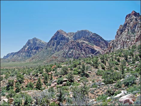 Dales Trail