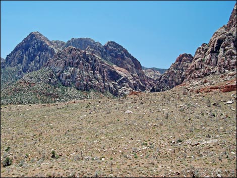 Dales Trail