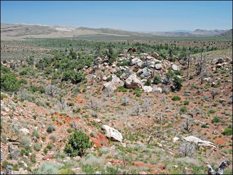 Dales Trail