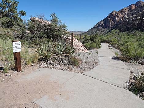 Handprints Trail