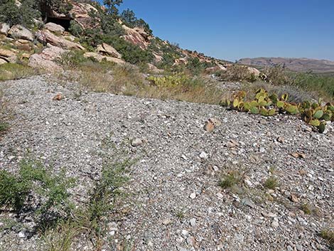 Handprints Trail