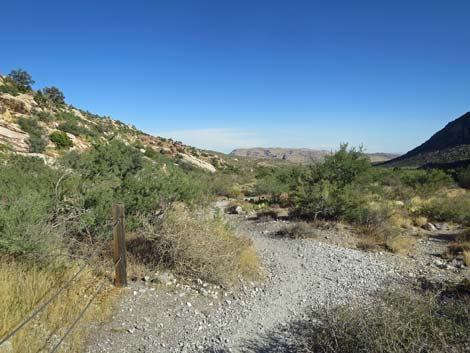 Handprints Trail
