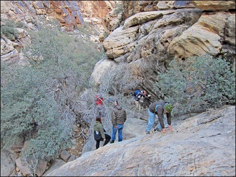 Ice Box Canyon Trail