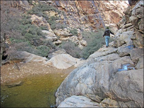 Ice Box Canyon Trail