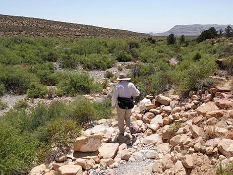 Ice Box Canyon Trail