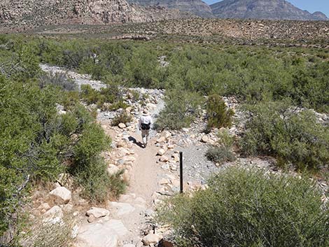 Ice Box Canyon Trail
