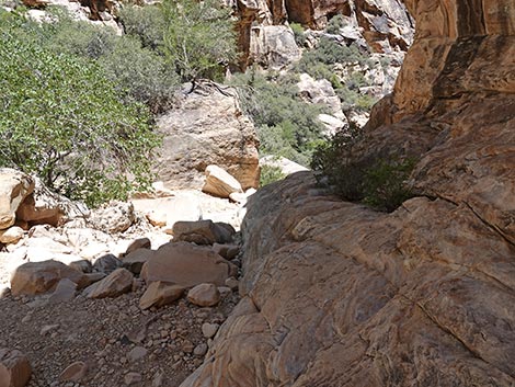 Ice Box Canyon Trail
