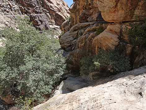 Ice Box Canyon Trail