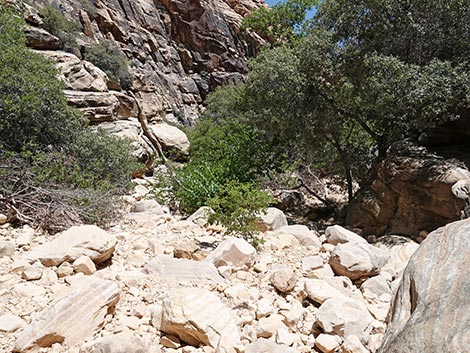 Ice Box Canyon Trail