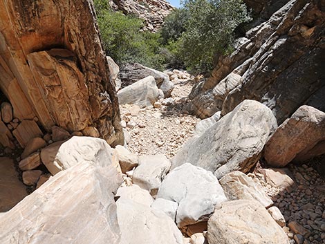 Ice Box Canyon Trail