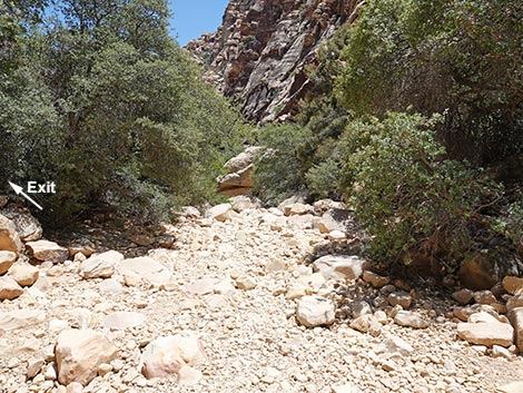 Ice Box Canyon Trail