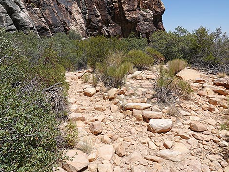 Ice Box Canyon Trail