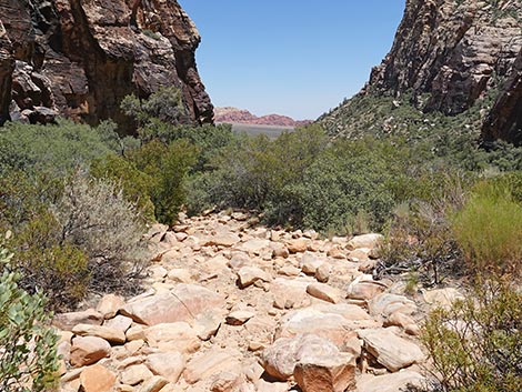 Ice Box Canyon Trail