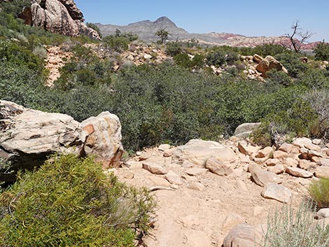 Ice Box Canyon Trail