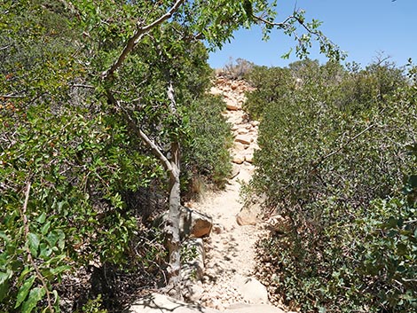 Ice Box Canyon Trail