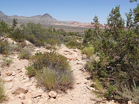 Ice Box Canyon Trail