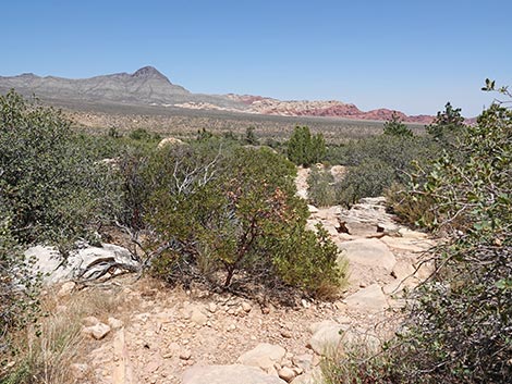 Ice Box Canyon Trail