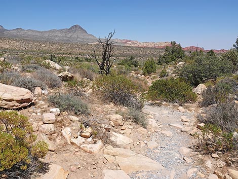 Ice Box Canyon Trail