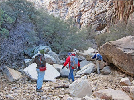 Ice Box Canyon