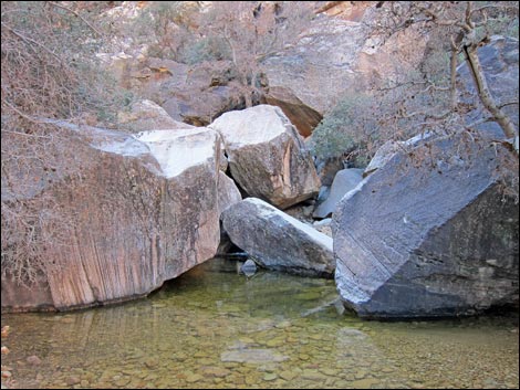 Ice Box Canyon