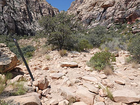Ice Box Canyon