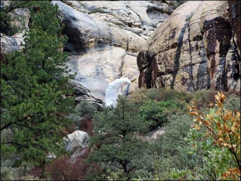 Lost Creek Trail