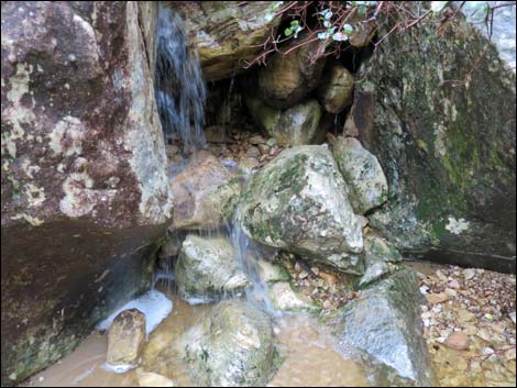 Lost Creek Trail