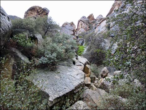 Lost Creek Trail