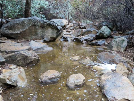 Lost Creek Trail