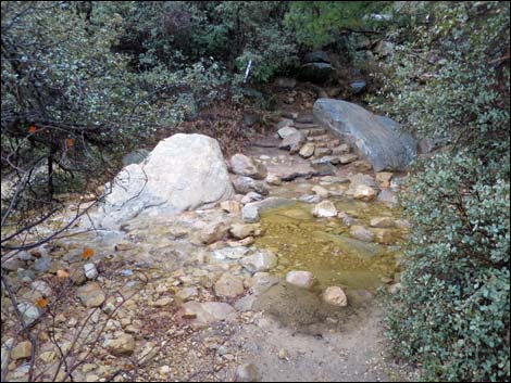 Lost Creek Trail