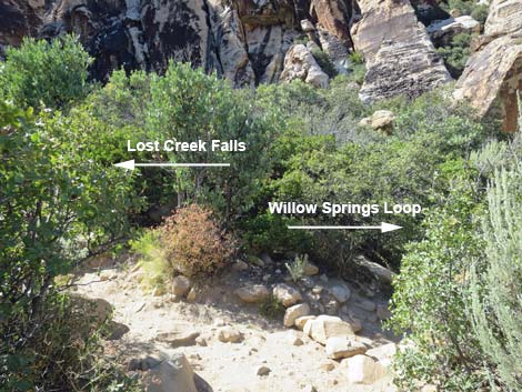 Lost Creek Trail