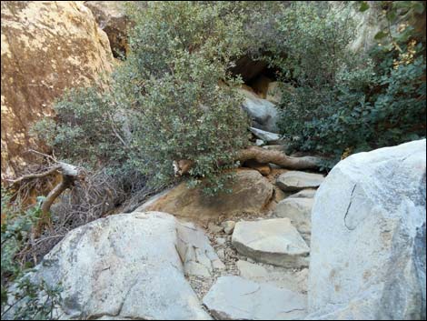 Lost Creek Trail