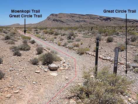 Moenkopi Trail