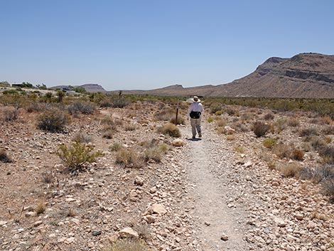 Moenkopi Trail