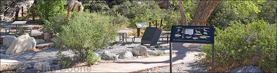 Willow Springs Picnic Area