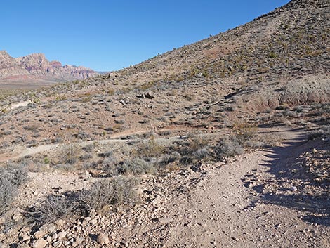 Rubber Ducky Trail