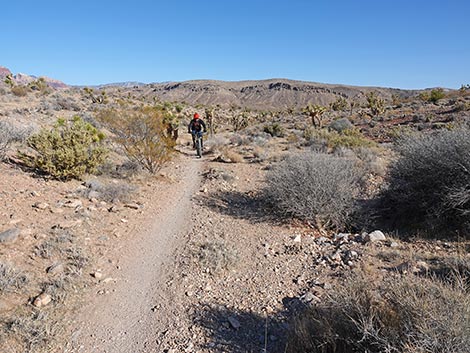 Rubber Ducky Trail