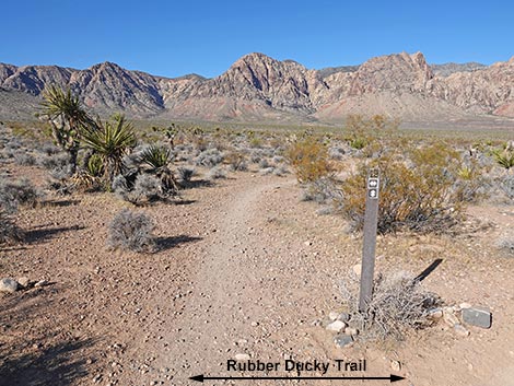 Rubber Ducky Trail