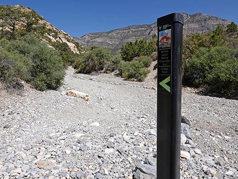 White Rock Loop Trail