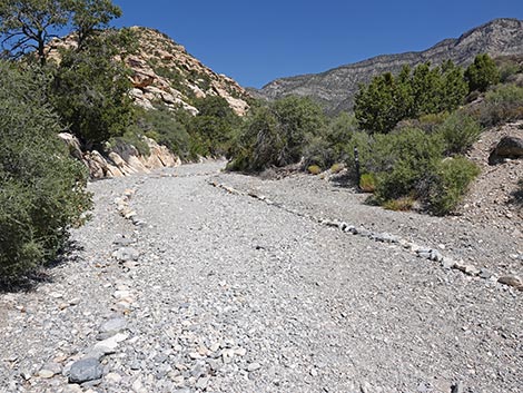 White Rock Loop Trail