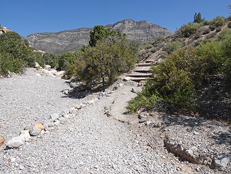 White Rock Loop Trail