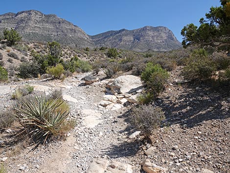 White Rock Loop Trail