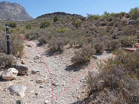 White Rock Loop Trail