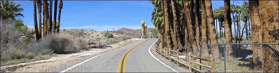 Warm Springs Road