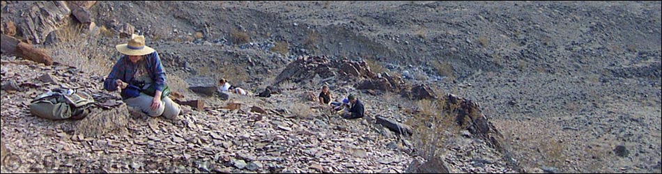 Chambless Trilobite Quarry